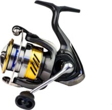 Daiwa 20 Laguna LT 4000-C