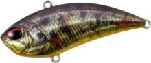 Duo Realis Vibration 62 G-Fix 6.2cm 14.5g Asa3825 Tule Perch Nd