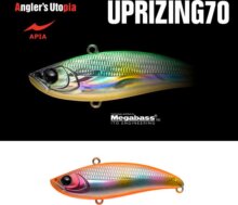 Apia Uprizing 70 14g 70mm 04 Orange Silver Candy