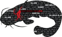 Delphin Öntapadó HARCSA Words sorozat