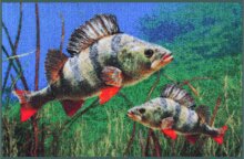 Delphin Szőnyeg 3D sügér (60x40cm)