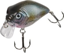 DOIYO Ishi 65 floating SBL / 6,5cm / 16g / merülés 0-0,5m