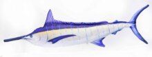 Pillow The Monster Blue Marlin Lit Up 200Cm