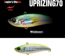 Apia Uprizing 70 14g 70mm 07 Lgh Chart Back