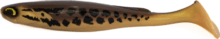 FISHUP RAM Shad 8" (1pcs.), #360 - Snakehead