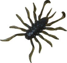 Illex RV Bug 3,8cm Dark Green Pumpkin Blue 8db