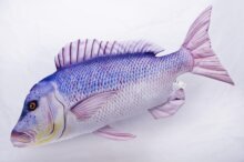 Pillow The Dentex 80Cm