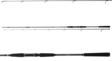 Daiwa Seahunter X Sea Trout 1022ML (2sct, 10-40g, 3.10m)