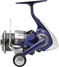 Daiwa 24 TDR Match & Feeder QD 3012QD-DH (9BB, 0.28/150, 0.18/200)