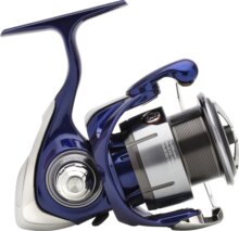Daiwa 24 TDR Match & Feeder QD 2508QD