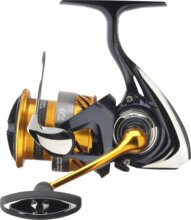 Daiwa 23 Revros LT 1000 (4BB, 150/0.14, 200/0.05)