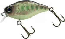 Illex Chubby 3,8cm Truitelle