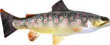 Pillow The Mini Brown Trout 36 Cm
