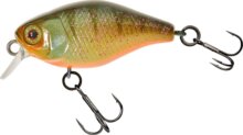 Illex Chubby 3,8cm Agressive Perch