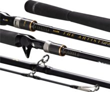 Illex The Artist X5 B 2,20m H Angel Of Darkness 20-80g 1+1