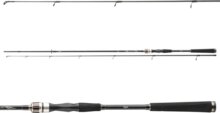 Daiwa Exceler Spin 1002M 2sct, 15-50g, 3.00m