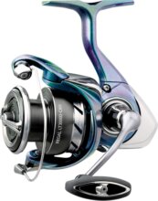 Daiwa 24 Regal LT 2000D-XH
