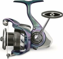 Daiwa 24 Regal LT 2500D-XH