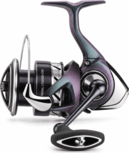 Daiwa 24 Regal LT 4000D-CXH