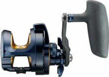 DAIWA 24 SALTIGA (G) 15L