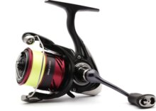 Daiwa 23 Ninja LT 2000