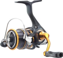 Daiwa 24 Iprimi LT 1000 S-P
