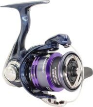 Daiwa 24 Prorex X LT 2000