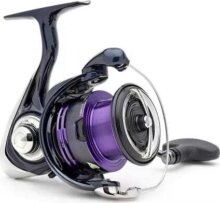 Daiwa 24 Prorex X LT 2500
