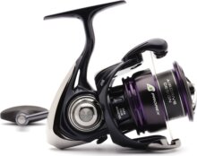 Daiwa 24 Prorex X LT 3000-C