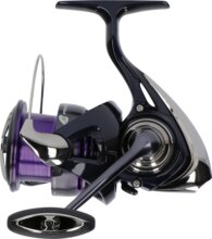 Daiwa 24 Prorex X LT 3000-CXH 5BB, 150/0.23