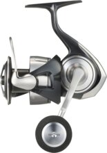 Daiwa 24 Certate SW 5000-XH 10BB, 150/0.40, 300/0.22