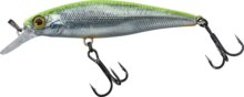Illex Squad Minnow 6,5cm SP RT Visible Roach