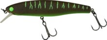 Illex Arnaud 10cm F Guripan Tiger