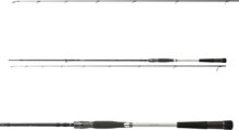 Daiwa Morethan AGS Seatrout 1022ML 2sct, 5-25g, 3.10m