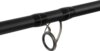 Delphin DUNAY Carp 300cm/200g/2 parts