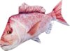 Pillow The Snapper 102 Cm