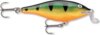 Rapala Shallow Shad Rap SSR05 P