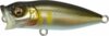 MEGABASS BABY POPX 50mm 5.2gr TAKUMI SEOCHI AYU
