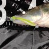 Reiva Zander Power Shad 12,5cm 3db/cs (Watermelon)
