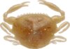 Berkley Gulp! GULP PELR CRAB 2IN Amber glow RO 5 Darab gumihal