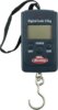 Berkley FishinGearFishinGear Digital Pocket Scale 25 KG