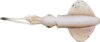 Savage Gear SWIM SQUID LRF 5CM 0.8G CUTTLEFISH 5 Darab plasztik csali