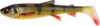 Savage Gear 3D WHITEFISH SHAD 27CM 152G PERCH 1 Darab gumihal