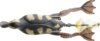Savage Gear 3D HOLLOW DUCKLING WL 7.5CM 15G F NATURA plasztikcsali