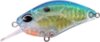 Duo Realis Crank 55Sr Kabuki 5.5cm 10g Chy3508 Gold Plate Blue