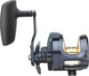 Daiwa 24 Saltiga L 35 (8BB, 600/0.24)