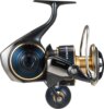 Daiwa 25 Saltiga 10000-P (14BB, 300/0.33)