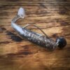 Just Fish Baits Kitara SR Alborella 3D szemmel 14cm
