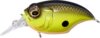 Megabass Sr-X Griffon 43mm 7.0g B.b.c(Black Back Chart)