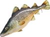Pillow The Atlantic Cod 75Cm